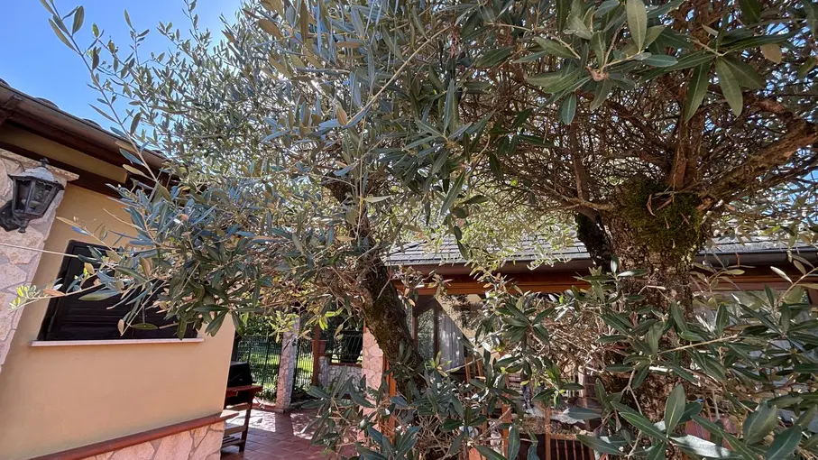Villa bifamiliare Via Sezze 52, Bassiano
