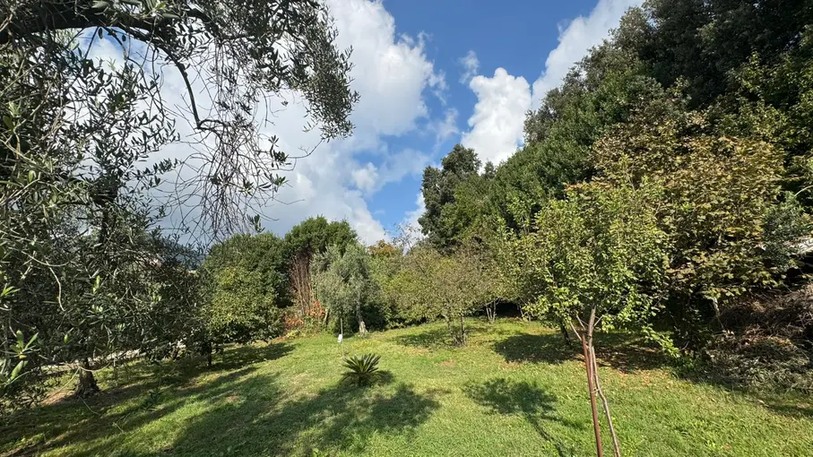 Cascina Via Madonna degli Angeli 13, Bassiano
