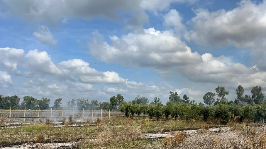 Villa unifamiliare Strada del Truglio snc, Latina