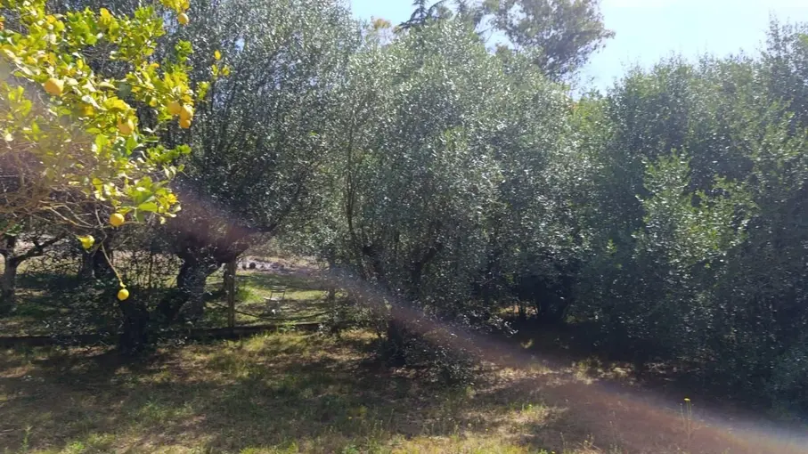 Villa unifamiliare Strada Nascosa 142, Latina