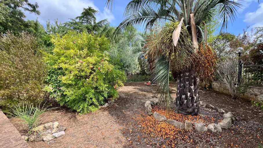 Villa unifamiliare Strada del Truglio snc, Latina