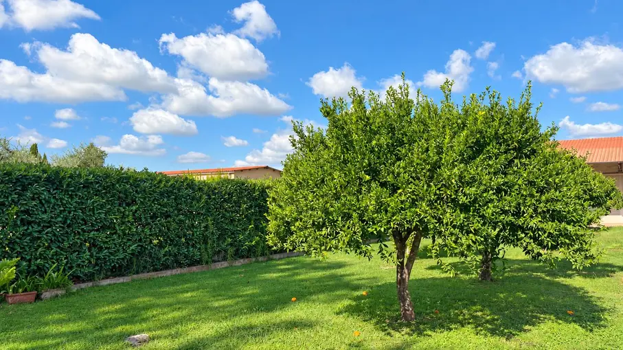 Villa unifamiliare Via Migliara 47 2167, Pontinia