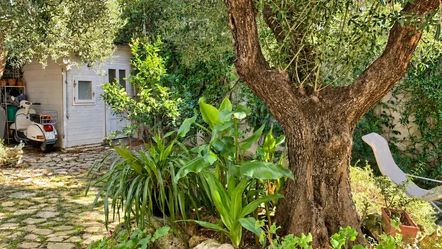 Villa a schiera Via Valentino Orsolini Cencelli snc, Sabaudia