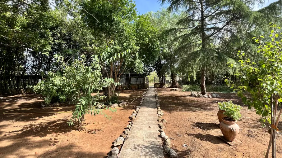 Villa unifamiliare Strada del Truglio snc, Latina