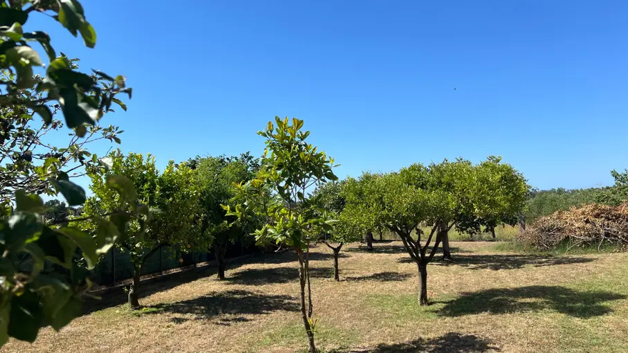 Villa unifamiliare Strada Nascosa 112, Latina