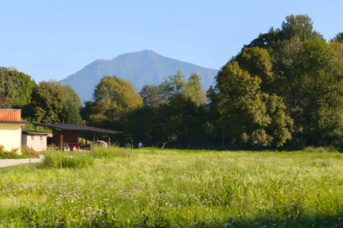 Immobile immagine 1