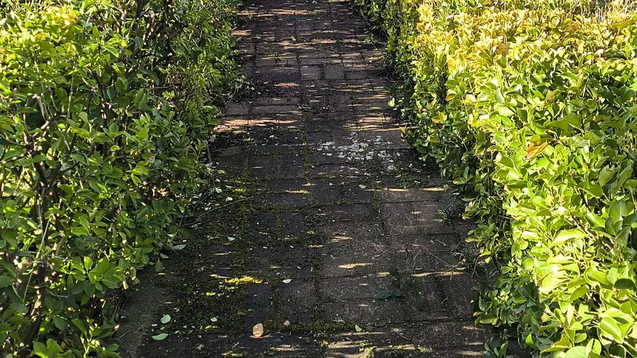 Casale Via Ubaldo Zani 20, Latina