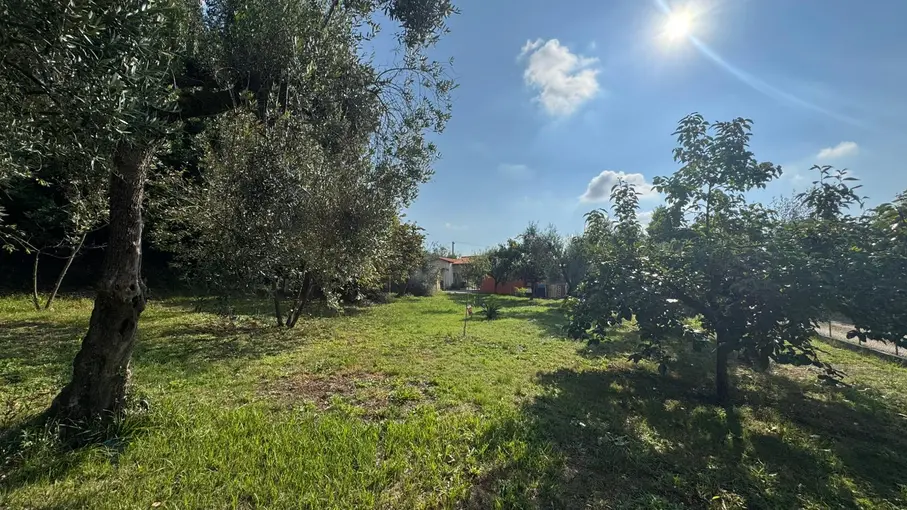 Cascina Via Madonna degli Angeli 13, Bassiano